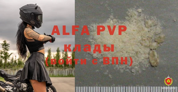 a pvp Алзамай