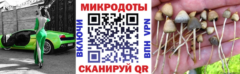 гидра ТОР  Кореновск  Галлюциногенные грибы ЛСД  купить наркотики цена 