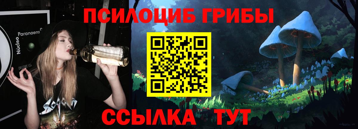 Галлюциногенные грибы Cubensis Кореновск