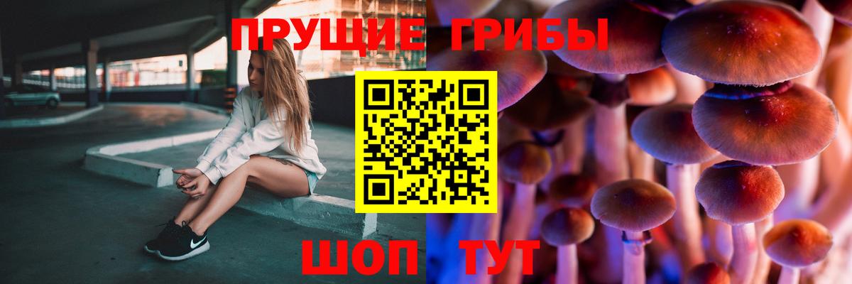 хочу наркоту  Вход с VPN  Кореновск  Псилоцибиновые грибы Psilocybe  Псилоцибиновые грибы Psilocybe 