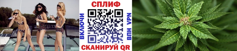 купить   Кореновск  Канабис Bruce Banner 
